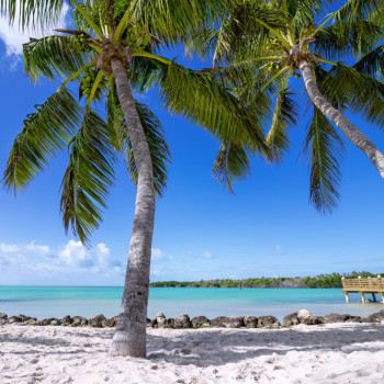 플로리다 3박4일