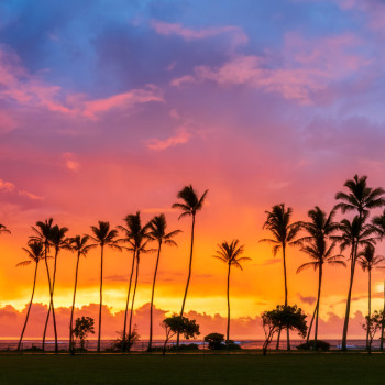 하와이 허니문 3박4일