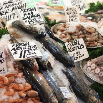 파머스마켓 투어