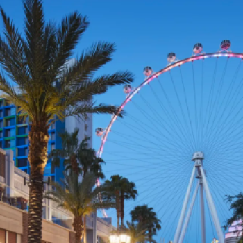 하이 롤러 티켓