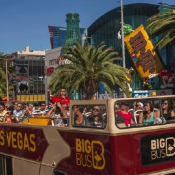 빅버스 시티 투어