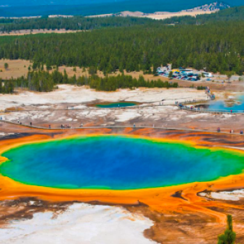 옐로우스톤 투어