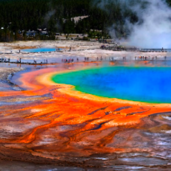 옐로우스톤 투어